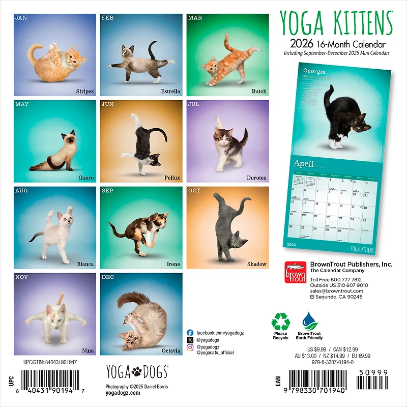 Yoga Kittens 2026 Mini 7x7