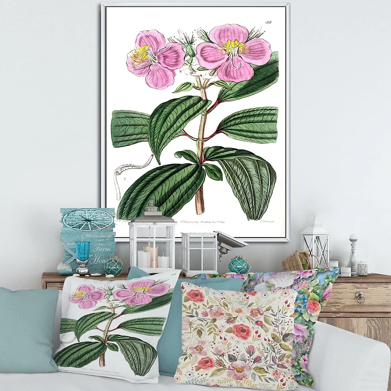 Designart Vintage Plant Life XXIII FLOAT FRAME WALL ART