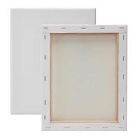 HELLO HOBBY STRETCHED CANVASES 2 PACK 8 in. x 10 in. EACH