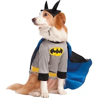 Big Dogs Batman Pet Costume