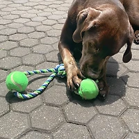 Dogit Knotted Rope Dog Toy, Multicoloured 2-Ball Looped Tug, 46 cm (18in)