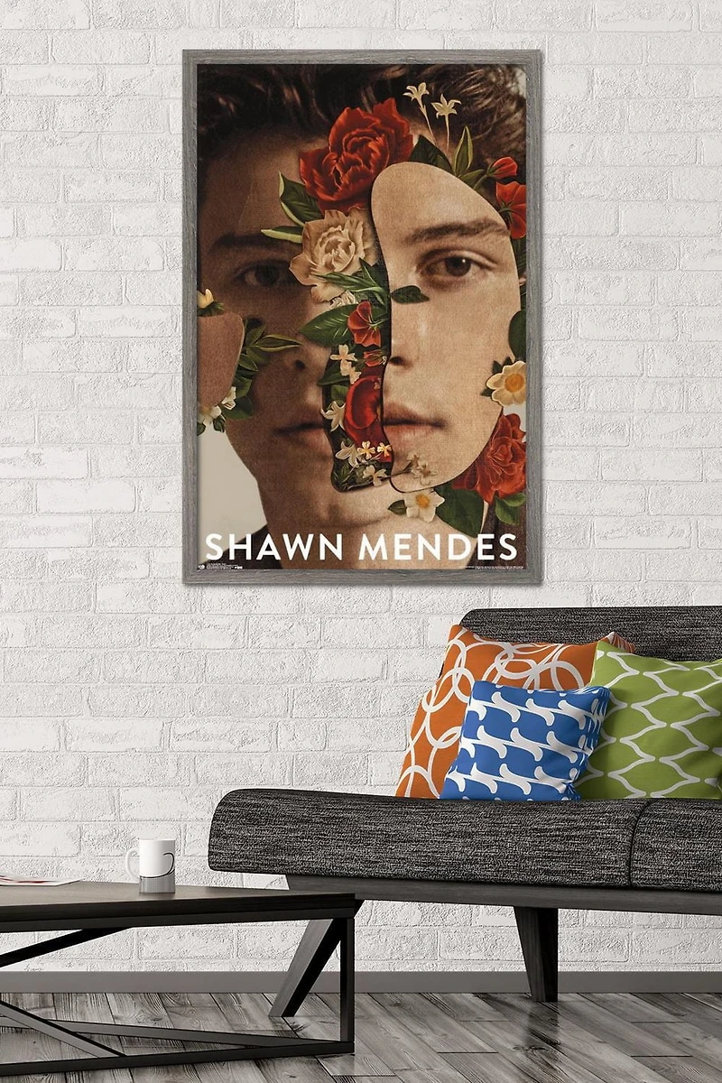 Shawn Mendes - Fleurs