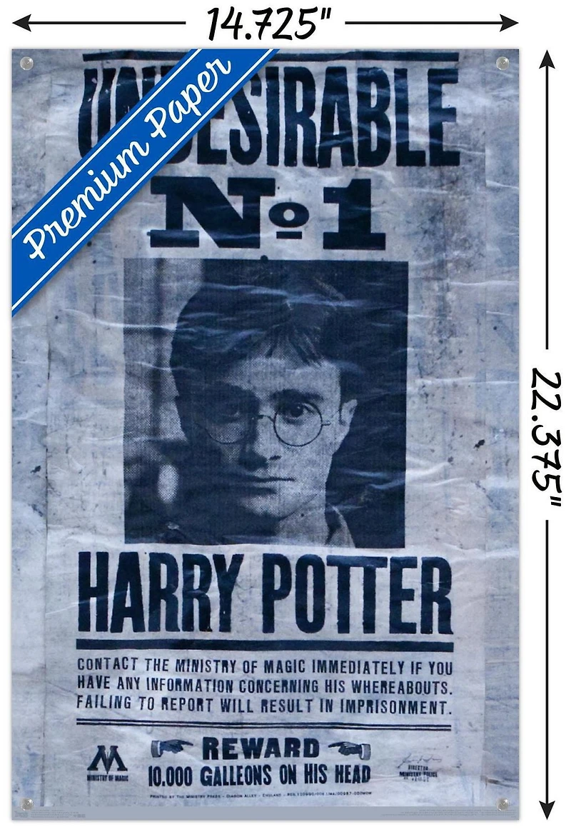 The Wizarding World: Harry Potter - Undesirable Wall Poster, 22.375" x 34"