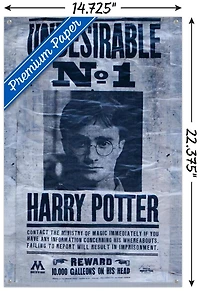 The Wizarding World: Harry Potter - Undesirable Wall Poster, 22.375" x 34"