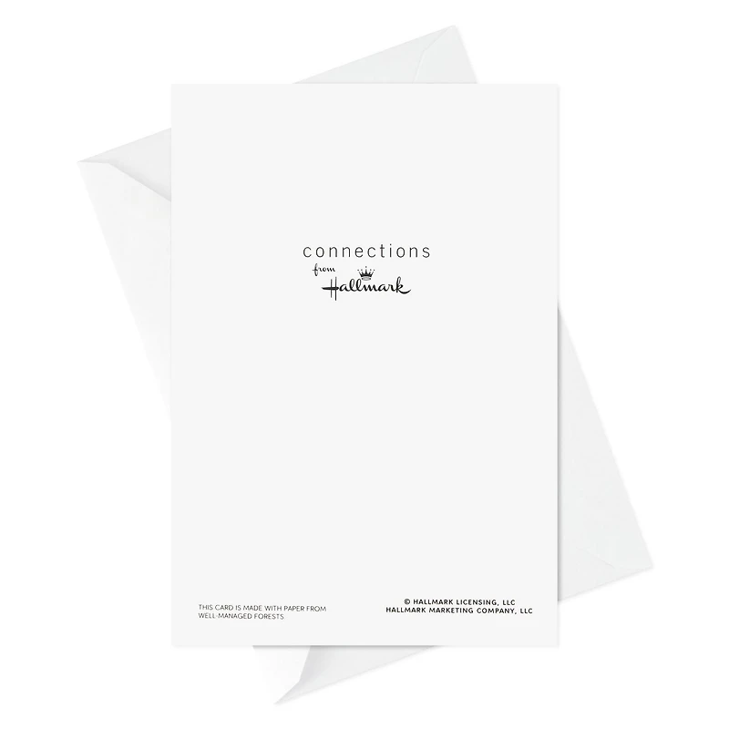Boîte de 18 cartes de Noël Connections de Hallmark (chiots portant un bonnet de père Noël)