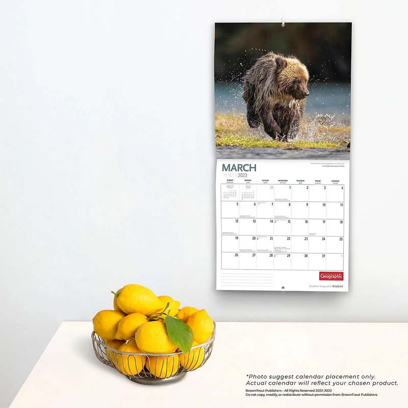 Canadian Geographic Wildlife 2023 Square