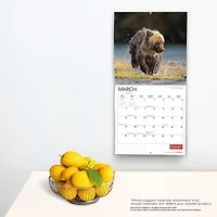Canadian Geographic Wildlife 2023 Square