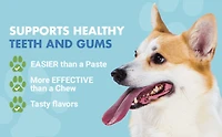 Liquid-Vet® Supplément pour la santé des dents et gencives des chiens, saveur rôti de bœuf, 16 oz liq 16 fois liquides / 474 ml