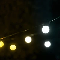 Twinkly Festoon Ampoules LED Smart 20 AWW, guirlande noire de 33 pieds, Gen II