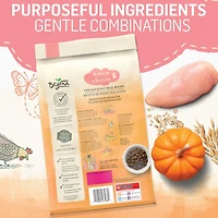 Beyond Recette de Poulet d'Avoine, Nourriture pour Chatons 1,36 kg 1,36 kg