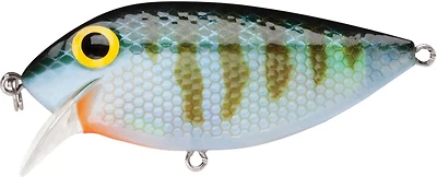 Poisson nageur Storm ThinFin