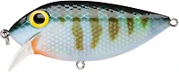 Poisson nageur Storm ThinFin