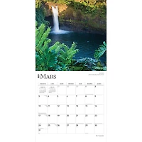 BrownTrout Îles Tropicales 2024 Mur Carré 30.48x60.96 CM, 9781975470340