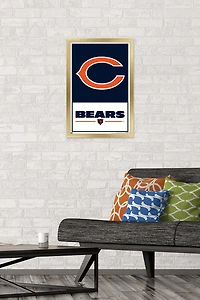 Chicago Bears de la NFL