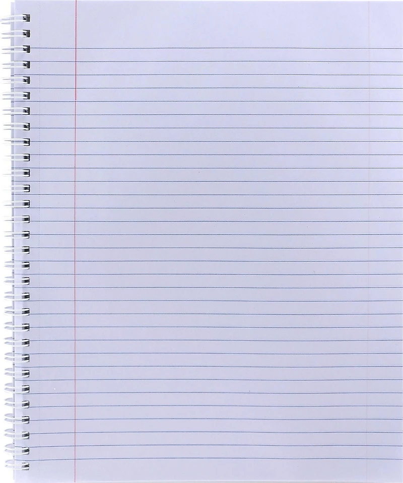 Cahier Sarcelle Hilroy