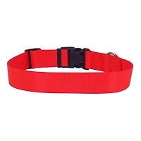 Pet Attire By Coastal Collier Réglable pour Chien avec Boucle en Plastique Rouge, Moyen, 5/8" x 12"-18" 5/8" x 12" - 18"