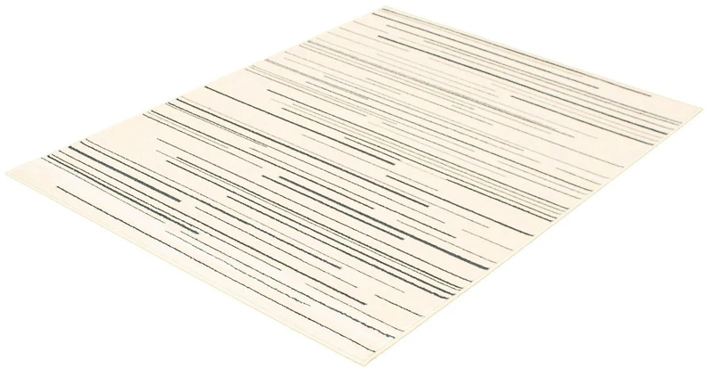 Tapis d'Interieur ECARPET Ray