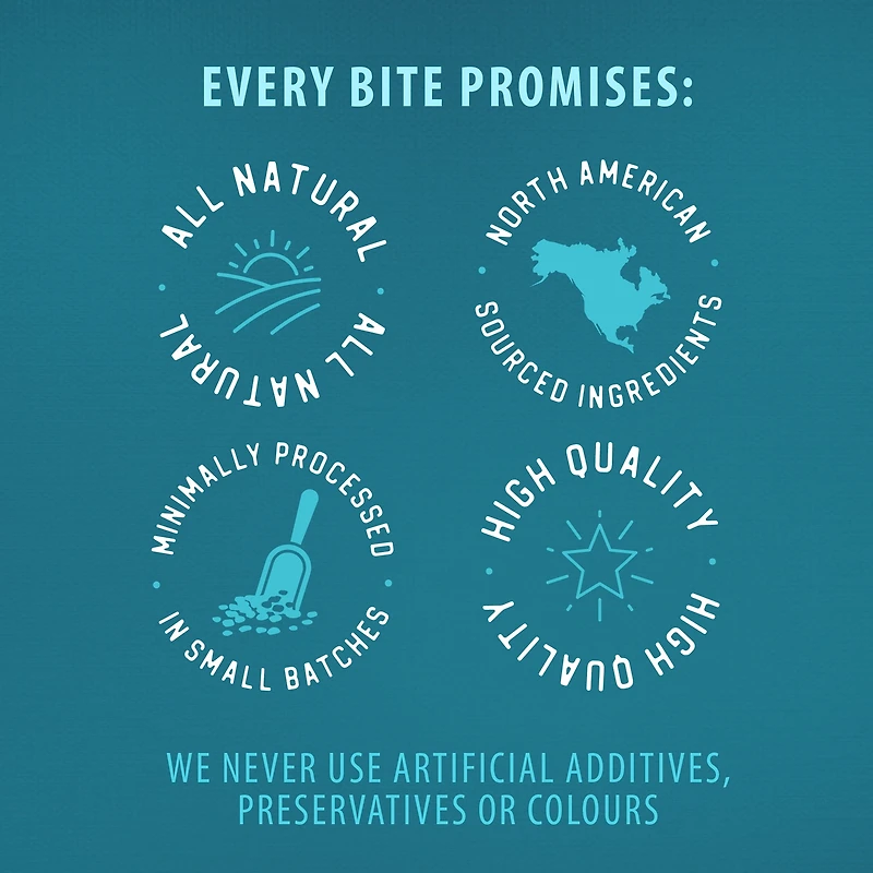 Caledon Farms Bouchées de foie de bœuf Friandises pour chiens lyophilisées entièrement naturelles à ingrédient unique 150 g 355g