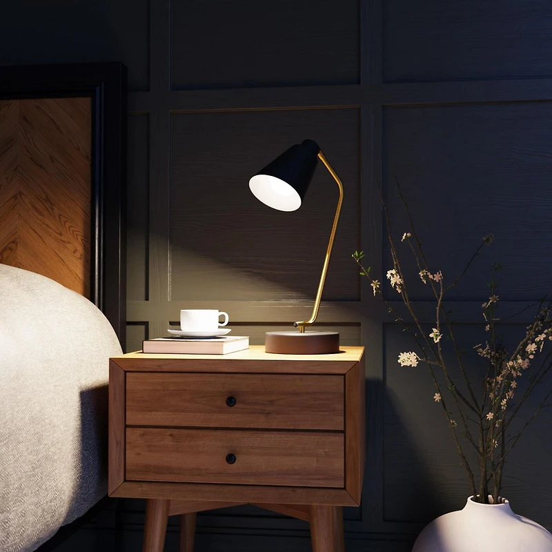 Ampoule en plastique DEL A19 non-gradable de Globe Electric, équivalente à un éclairage de jour de 60W (5000k), paquet de 4, base E26, 800 lumens, 30717