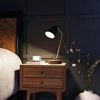 Ampoule en plastique DEL A19 non-gradable de Globe Electric, équivalente à un éclairage de jour de 60W (5000k), paquet de 4, base E26, 800 lumens, 30717