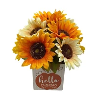 Way To Celebrate "Hello Pumpkin" Sunflowers Floral-In-A-Box