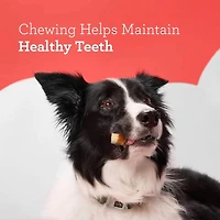DreamBone Mini Bones Made With Real Chicken 16 Count, Rawhide-Free Chews For Small Dogs, DreamBone Chicken Mini 16ct, 9.0oz, 256g