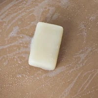 ATTITUDE leaves bar, Body Soap, Sea Salt