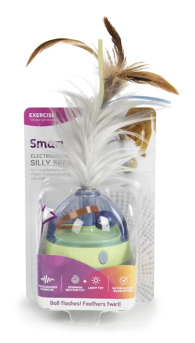 SmartyKat Spinner idiot