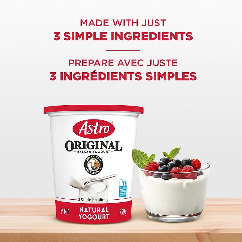 Astro Original Balkan Style Plain Yogurt 6%