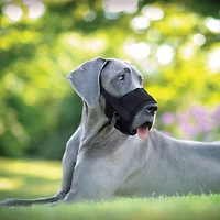 Coastal Pet Products Best Fit Adjustable Comfort Dog Muzzle