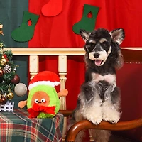 Hugsmart Santa Avocado Plush Dog Toy - Fuzzy, Squeaky, for Small & Medium Dogs