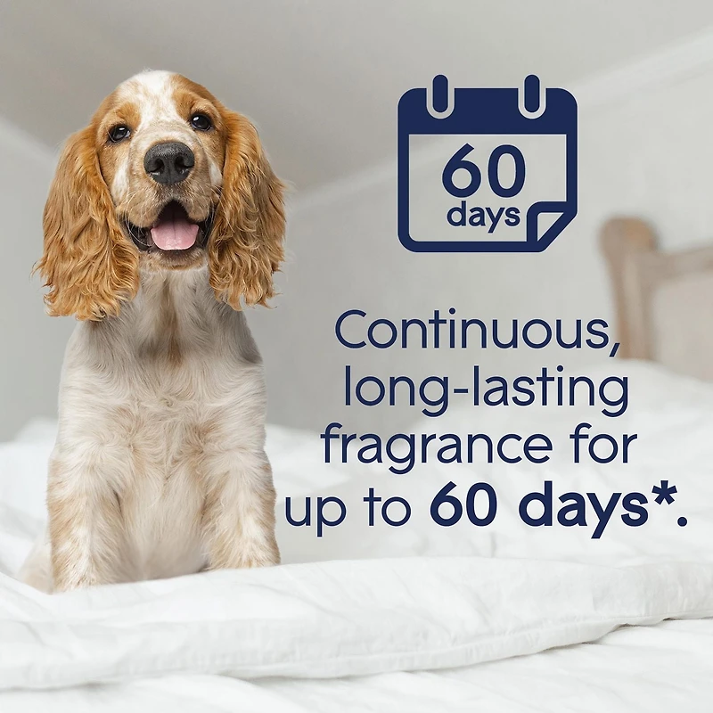 Glade PET Plugins® Air Freshener Oil Refill, Companion Clean™, 2 Refills