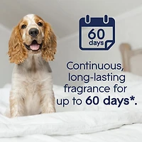 Glade PET Plugins® Air Freshener Oil Refill, Companion Clean™, 2 Refills