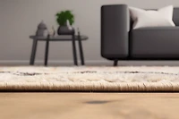 ECARPET Tapis Traditionnel Lea pour Salon, Chambre, Salle A Manger, Entrée, Couloir et Plus Encore.