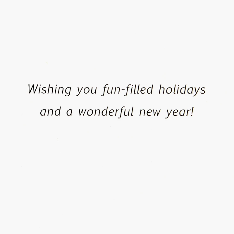 Image Arts Boxed Christmas Cards, Ice Skating Under Northern Lights (Pack of 28 Cards with Envelopes)