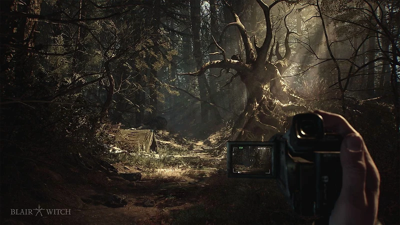 Jeu vidéo Blair Witch pour (PlayStation 4) PlayStation 4