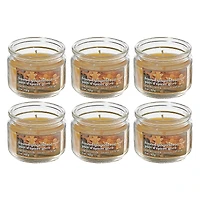 3 Oz Scented Jar Candle (Frosted Gingerbread) - Set of 6