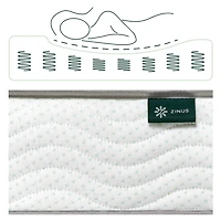 Zinus 6 Inch Foam and Spring Mattress / CertiPUR-US Certified Foams / Mattress-in-a-Box