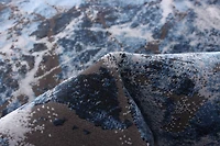 Tapis ECARPET Collection Marble