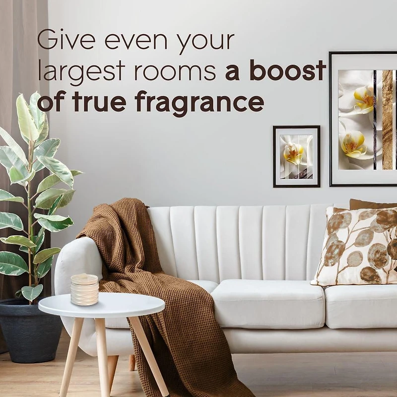 Glade® Wax Melt Air Freshener Refills, Delicate Vanilla Embrace, 6 Melts