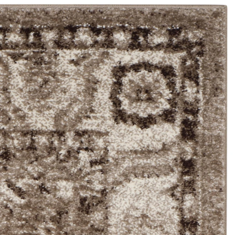 Safavieh Vintage Hamadan Pema Traditional Area Rug