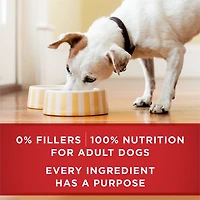 Purina ONE +Plus Santé du cœur et du cerveau entrée du poulet et riz brun, Nourriture Humide pour Chiens, 368g