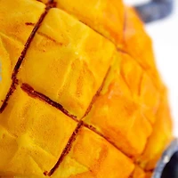 Ornement de résine de maison Penn Plax d'ananas Spongebob