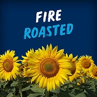 Graines de tournesol à saveur ranch piquante HIDDEN VALLEY BiGS - Teneur élevée en fibres – Sans colorants ni arômes artificiels