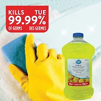 Great Value Nettoyant et désinfectant concentré tout usage 1,2 l