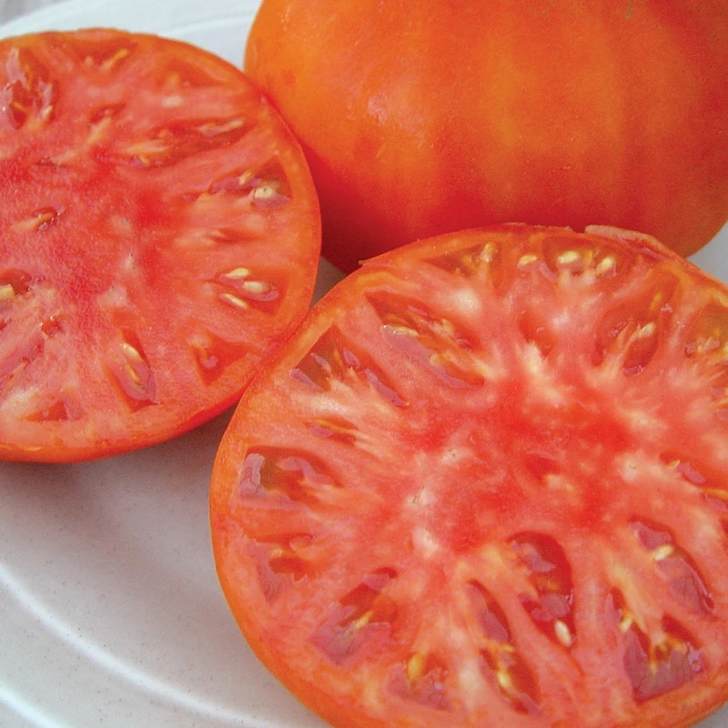 Burpee Brandywine Rouge Org - Tomate