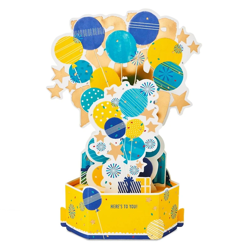 Hallmark Paper Wonder Pop Up Birthday Card (Party)