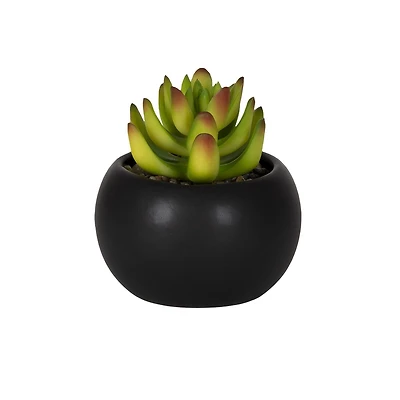 Hometrends Kelvin Succulent A