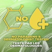 Nettoyant Pour le Corps AXE Pin de Jungle et Eucalyptus
