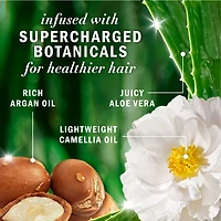Herbal Essences Argan Oil Paraben Free Shampoo, Hair Repair, with Certified Camellia Oil and Aloe Vera, For All Hair Types, Especially Damaged Hair, 400ML